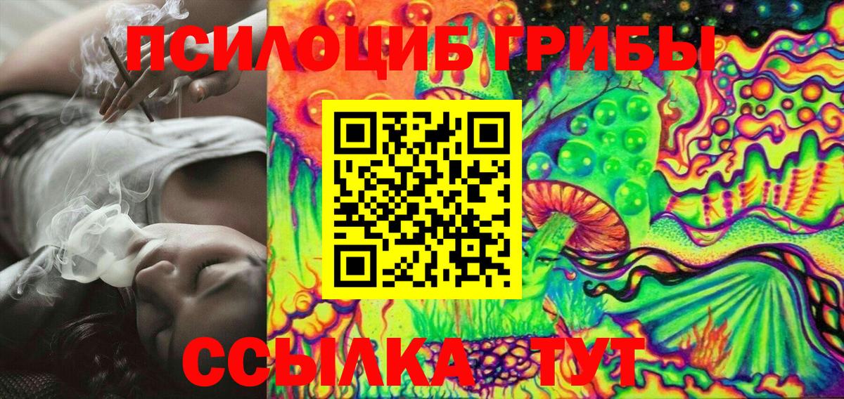 Псилоцибиновые грибы Magic Shrooms  Вход с VPN  Карачаевск 